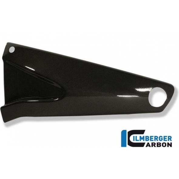 Ilmberger Carbon Ilmberger Swingarm Cover (left) Carbon - Buell 1125 R / CR | ilm_SAL_017_1125R_K | euronetbike-net