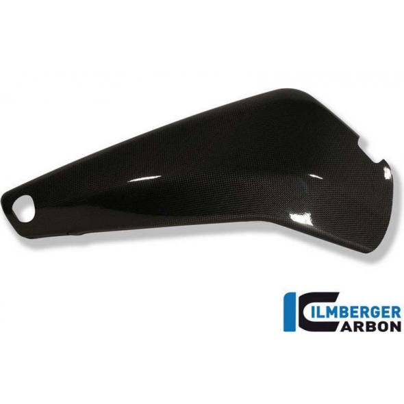 Ilmberger Carbon Ilmberger Swingarm Cover right Carbon - Buell 1125 R / CR | ilm_SAR_018_1125R_K | euronetbike-net