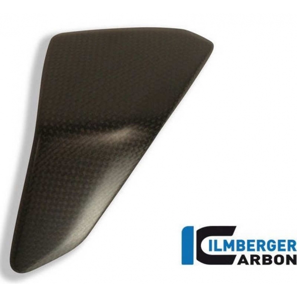 Ilmberger Carbon Ilmberger Frame Cover Inset (left) Carbon - Ducati 1199 / 1299 Panigale | ilm_SEL_029_D1199_K | euronetbike-net