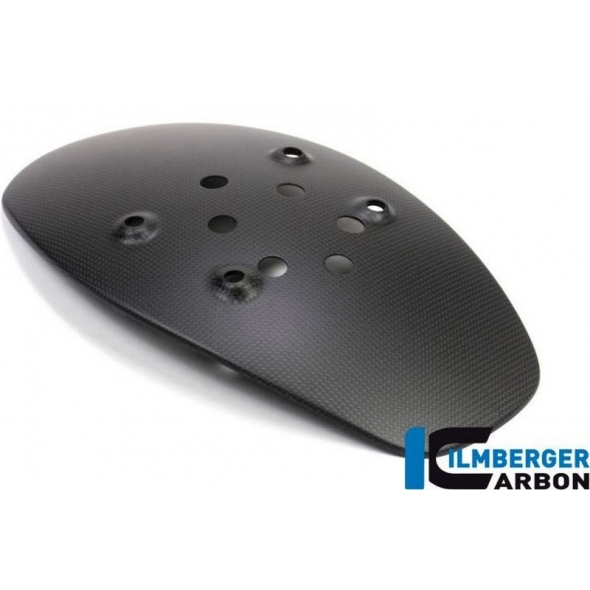 Ilmberger Carbon Ilmberger Splash guard matt XDiavel'16 | ilm_SPS_115_XD16M_K | euronetbike-net