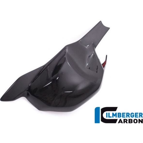 Ilmberger Carbon Ilmberger Swing arm cover gloss Panigale V4 / V4 S | ilm_SSO_003_DPV4G_K | euronetbike-net