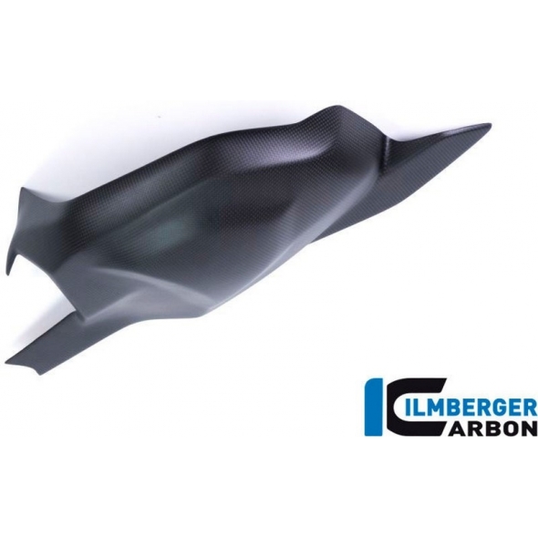 Ilmberger Carbon Ilmberger Swing arm cover matt Panigale V4 / V4 S | ilm_SSO_103_DPV4M_K | euronetbike-net