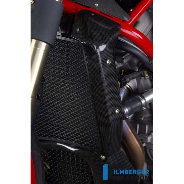 Ilmberger Carbon Ilmberger Radiator Cover Carbon - MV Agusta Brutale 750/910 | ilm_WKO_012_MVBRU_K | euronetbike-net