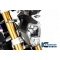 Ilmberger Carbon Ilmberger Headlight Cover BMW R 1250 R (LC) 2019 | LIA-007-R125R-K | ilm_LIA_007_R125R_K | euronetbike-net