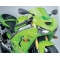 Powerbronze parts Powerbronze Standard Screens, DARK GREEN for KAWASAKI ,ZX6-R, 03-04 | 410-K120-012 | pb_410-K120-012 | euronetbike-net