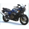 Powerbronze parts Powerbronze Standard Screens, DARK TINT for KAWASAKI ,ZRX1200S, 01-05 | 410-K147-002 | pb_410-K147-002 | euronetbike-net