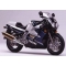 Powerbronze parts Powerbronze Standard Screens, DARK TINT for YAMAHA ,FZR600R, 94-96 | 410-Y112-002 | pb_410-Y112-002 | euronetbike-net