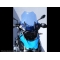 Powerbronze parts Powerbronze Flip Screens, VIOLET for BMW ,R1200GS, 13-18 ,R1200GS ADVENTURE, 14-18 ,R1250GS, 19 (465 MM) | 420-B122-014 | pb_420-B122-014 | euronetbike-net