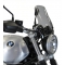 Powerbronze parts Powerbronze Light Screen, DARK GREEN for BMW ,R NINE T SCRAMBLER, 16-19, R NINE T, 17-19 (CONVENTIONAL FORKS) | 430-U219-012 | pb_430-U219-012 | euronetbike-net