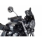 Powerbronze parts Powerbronze Light Screen, LIGHT TINT for HONDA ,CB1100 EX, 17-19,CB1100 RS, 17-19 (220 MM) | 430-U253-001 | pb_430-U253-001 | euronetbike-net