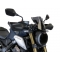 Powerbronze parts Powerbronze Light Screen, DARK GREEN for HONDA ,CB650R, 19 (220 MM) | 430-U262-012 | pb_430-U262-012 | euronetbike-net