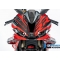 Ilmberger Carbon Ilmberger Fairing middle part street BMW S1000RR 2023 | VEM.006.S123S.K | ilm_VEM_006_S123S_K | euronetbike-net