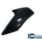 Ilmberger Carbon Ilmberger Radiator Cover (left) Carbon - BMW R 1200 GS (LC from 2013) | KAL.033.GS12L.K | ilm_KAL_033_GS12L_K | euronetbike-net