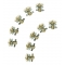 SIDI boots SIDI Fast Release screws with washer for SRS/SMS (68) | 52144-00-605 | sidi_52144-00-605 | euronetbike-net