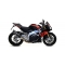 Arrow ARROW APRILIA RSV4 15/16-TUONO V4 1100 '15/16 HOMOLOGATED CARBON RACE-TECH SILENCER WITH CARBON END CAP FOR ARROW LINK PIPE | 71744MK | arr_71744MK | euronetbike-net