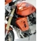 Ermax Ermax cooling air scoops ermax for cb 600 hornet N 2003/2006 unpainted | 760100078 | erm_760100078 | euronetbike-net